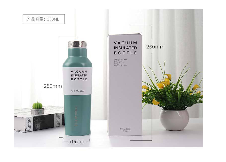 Motion Insulated Water Bottle | 500ml Thermal Cup