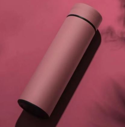 LED Temperature Display Water Bottle
