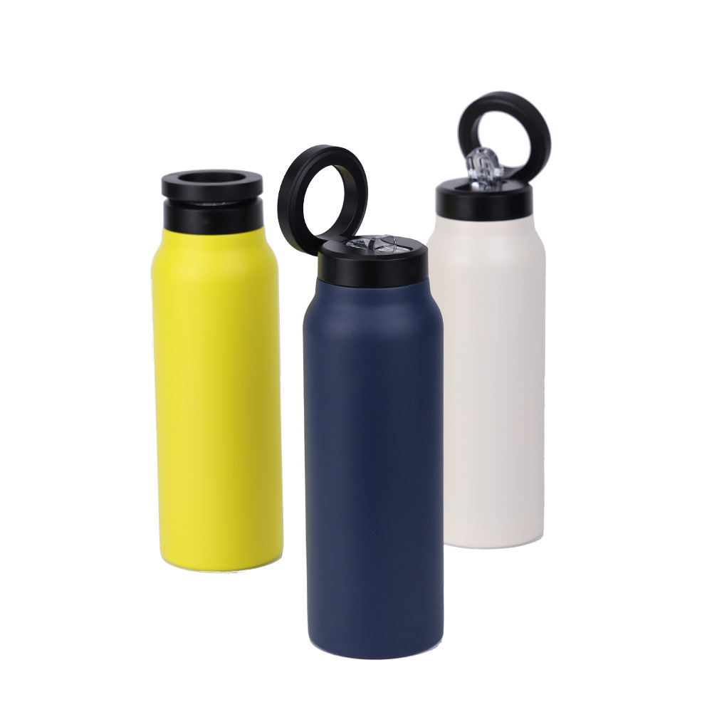 Stainless Steel Insulated Water Bottle with Magnetic Lid | 750mlStay hydrated and enjoy your beverages at the perfect temperature with this sleek 750ml Stainless Steel Insulated Water Bottle. Crafted from high-quality 304 stainleWater BottlesBeauty Babeez Fits LLCBeauty Babeez Fits LLCStainless Steel Insulated Water Bottle