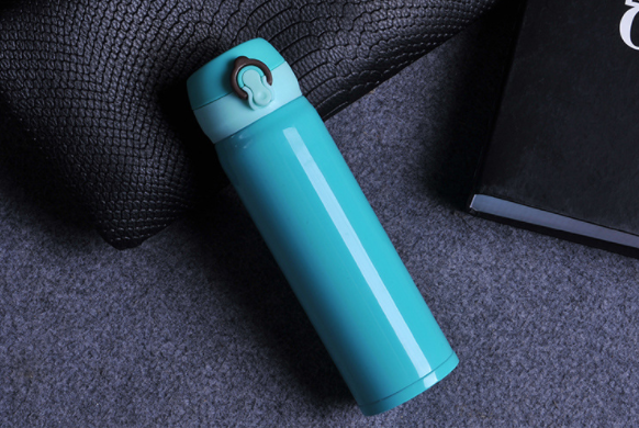 Insulated Stainless Steel Water Bottle