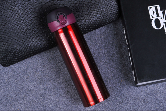 Insulated Stainless Steel Water Bottle